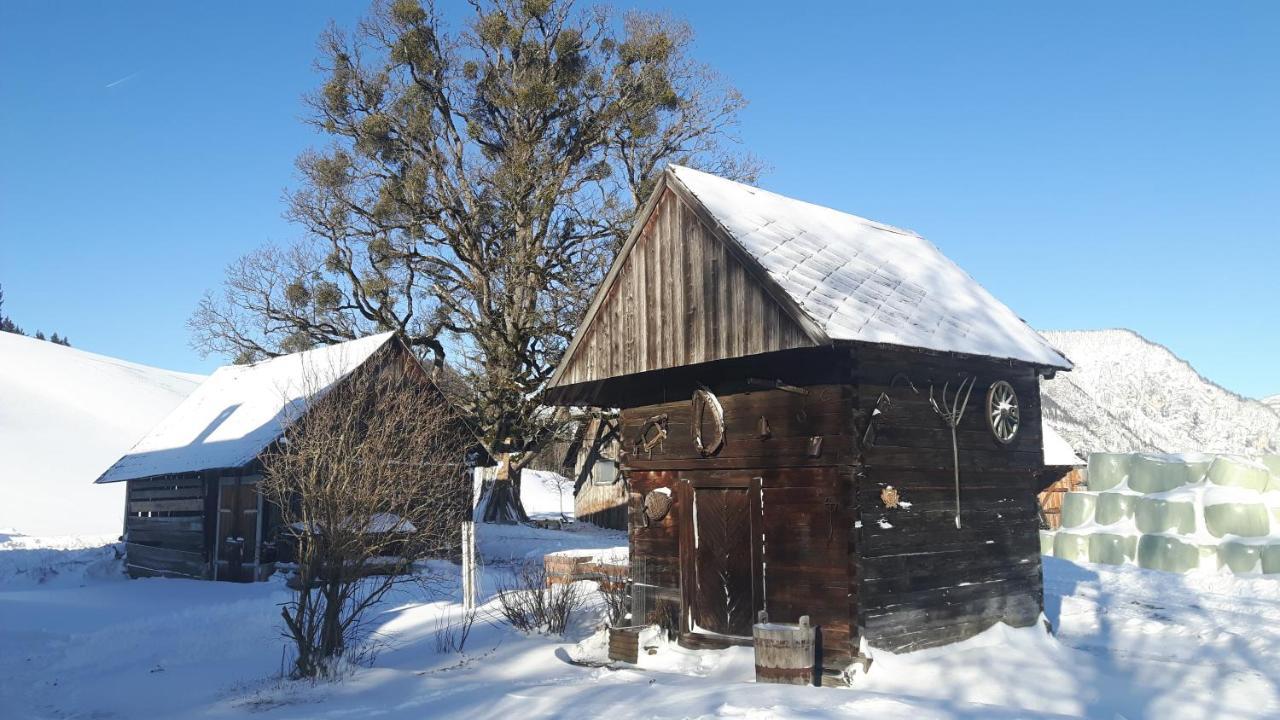 Apartmán Kulmerhof - Farm Pruggern Exteriér fotografie