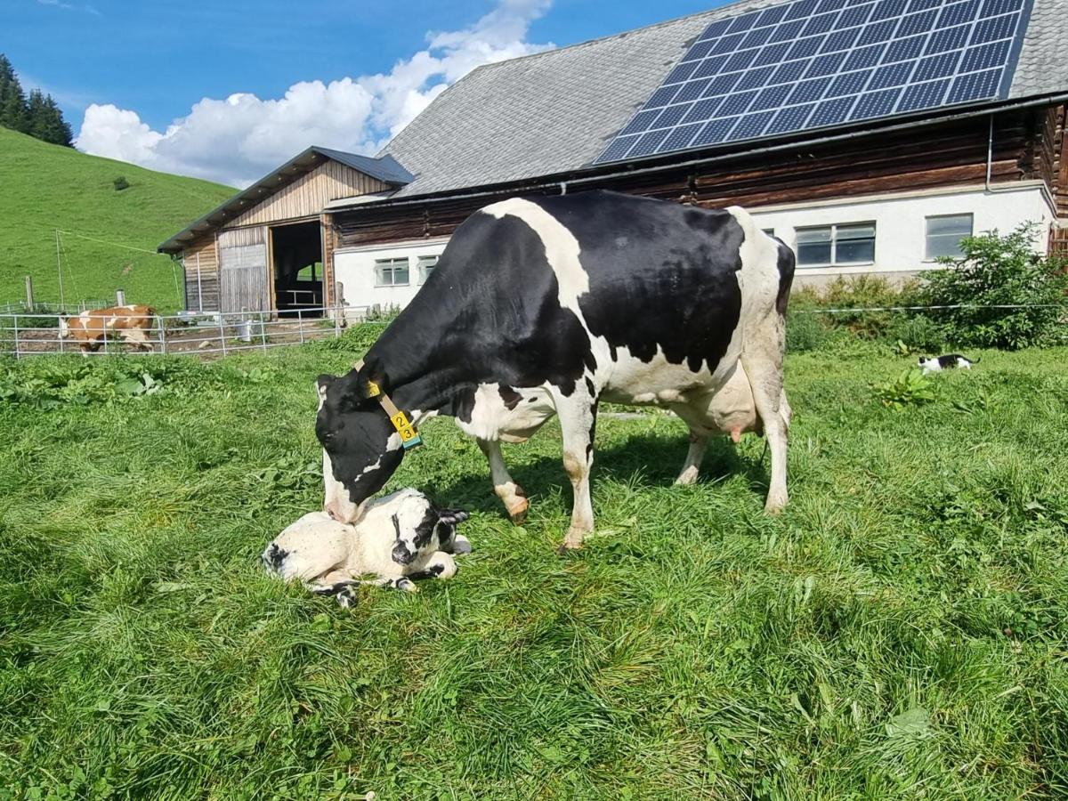 Apartmán Kulmerhof - Farm Pruggern Exteriér fotografie