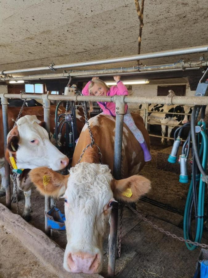 Apartmán Kulmerhof - Farm Pruggern Exteriér fotografie