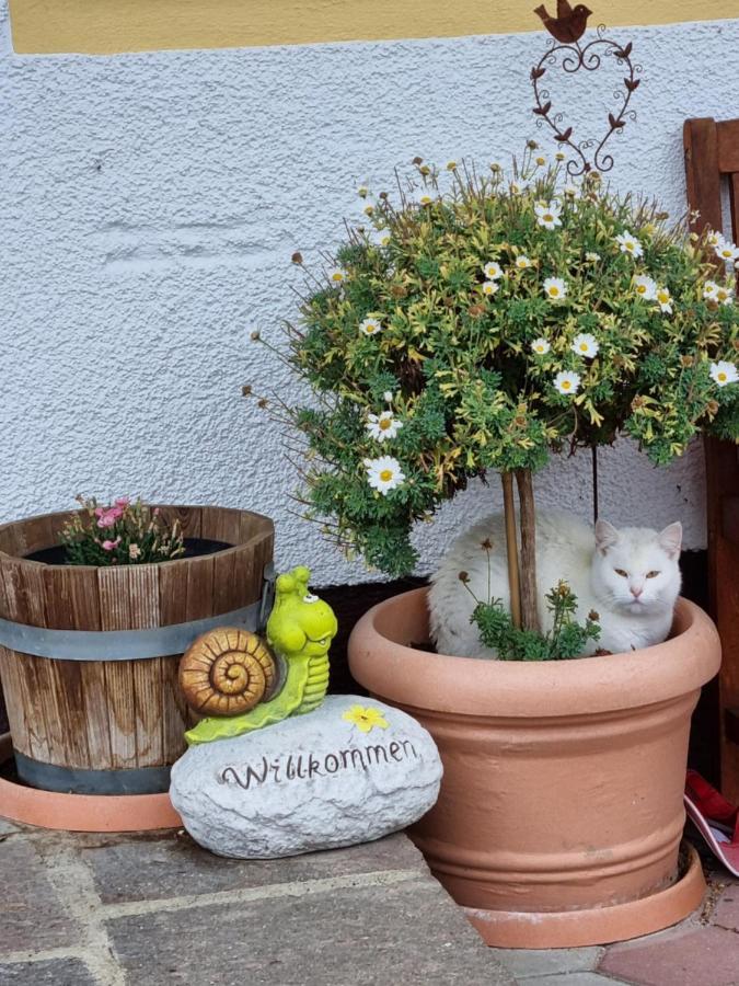 Apartmán Kulmerhof - Farm Pruggern Exteriér fotografie