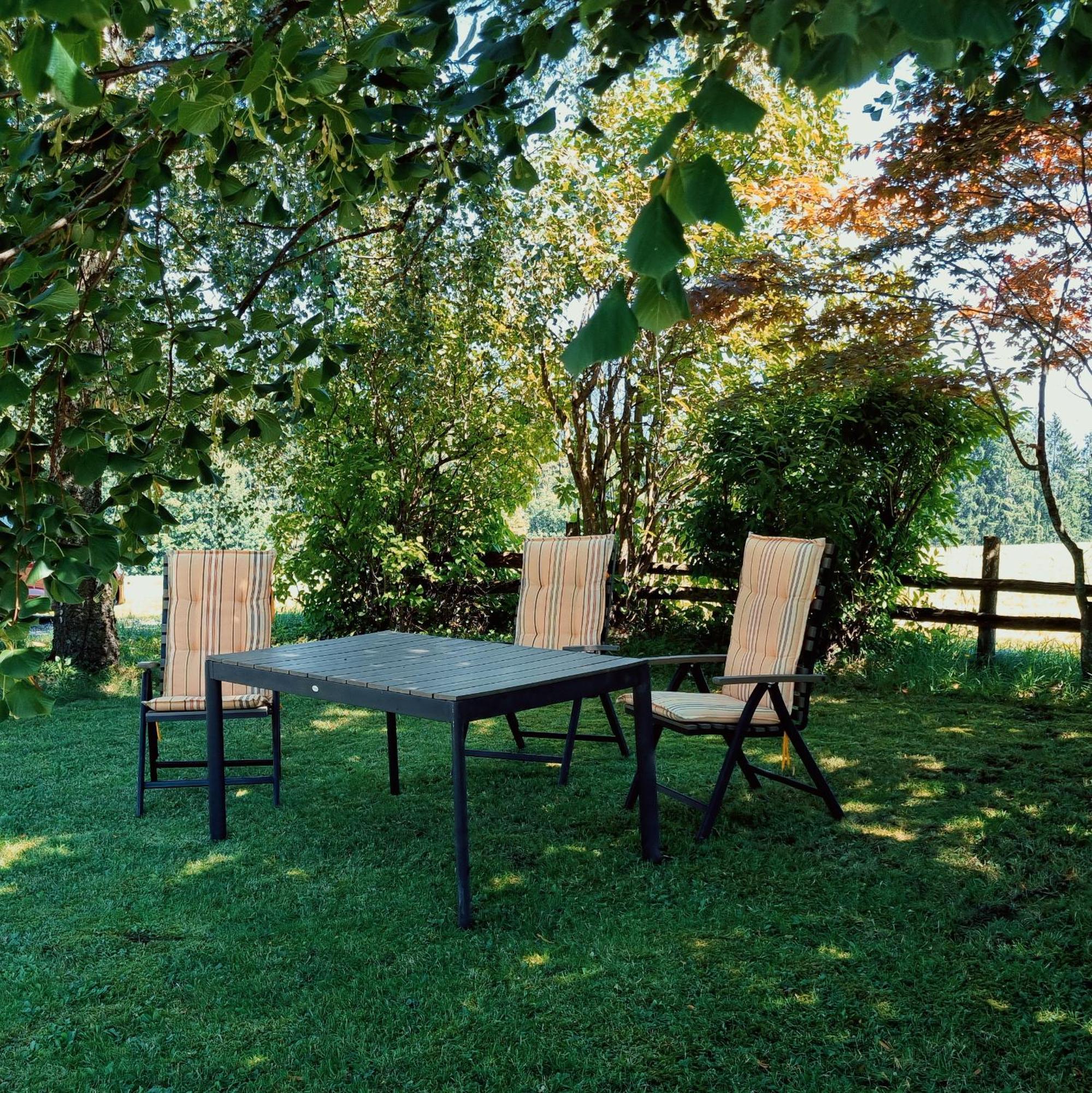 Apartmán Kulmerhof - Farm Pruggern Exteriér fotografie