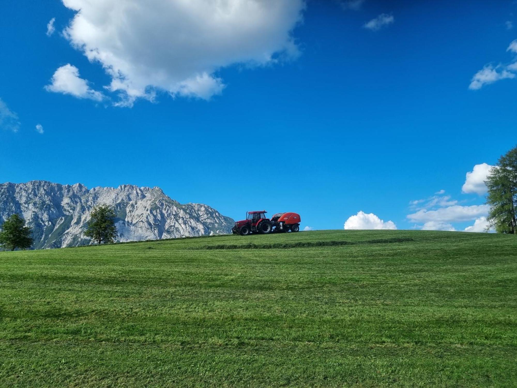 Apartmán Kulmerhof - Farm Pruggern Exteriér fotografie