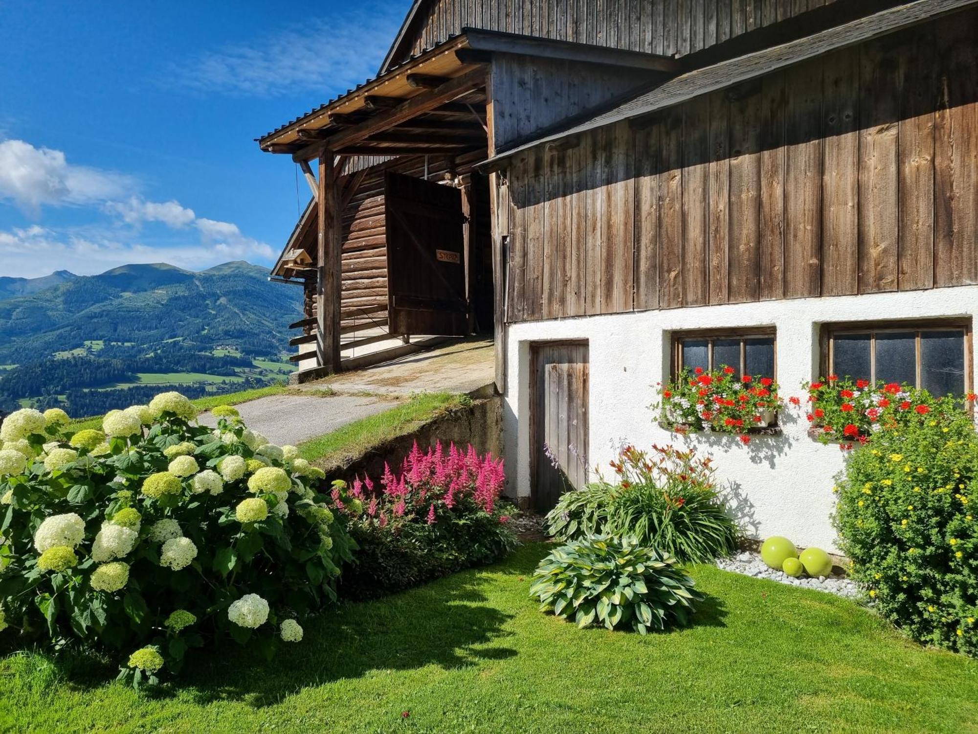 Apartmán Kulmerhof - Farm Pruggern Exteriér fotografie
