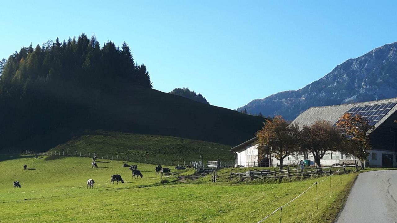 Apartmán Kulmerhof - Farm Pruggern Exteriér fotografie